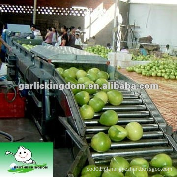 Chinês pinghe Mel Pomelo